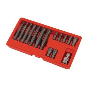 15pcs Ribe Bit Socket Set with Adapter – M6–M14 Sizes for Audi & VW Use CT0120