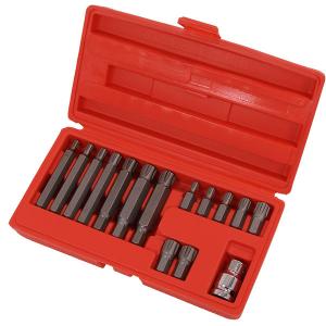 15pcs Ribe Bit Socket Set with Adapter – M6–M14 Sizes for Audi & VW Use CT0120